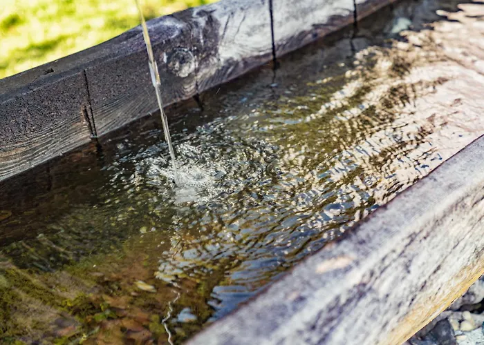 Brandhof 拉姆绍达赫斯坦